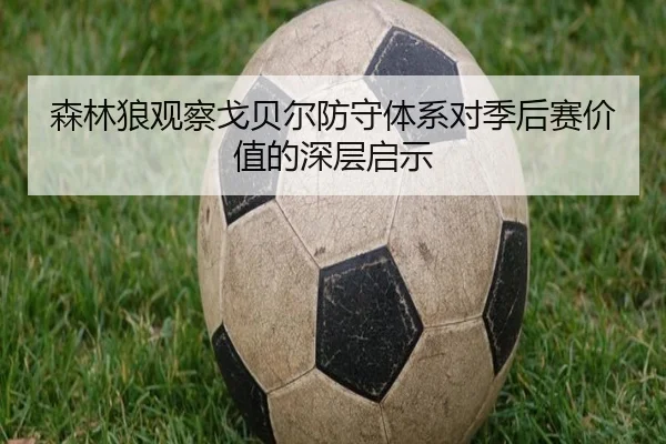 森林狼观察戈贝尔防守体系对季后赛价值的深层启示