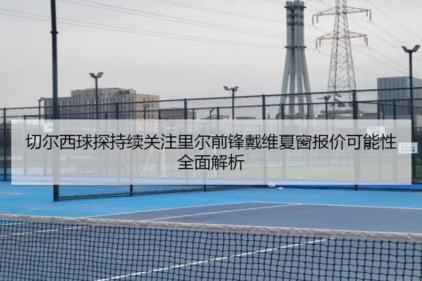 切尔西球探持续关注里尔前锋戴维夏窗报价可能性全面解析